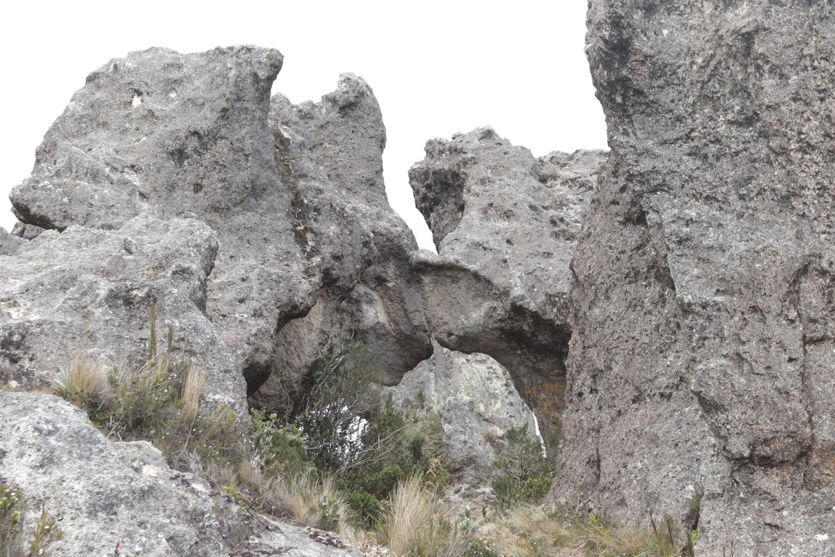 GAD_Saraguro's tweet photo. #Saraguro es mágico, está rodeado de lugares turísticos como el #CerrodeArcos, #LeonDormido, este último una formación geológica de 1 km de camino, desde la cúspide se aprecia parte de Saraguro y Urdaneta. Ven y Visitanos. https://t.co/7Y1z32uJsE