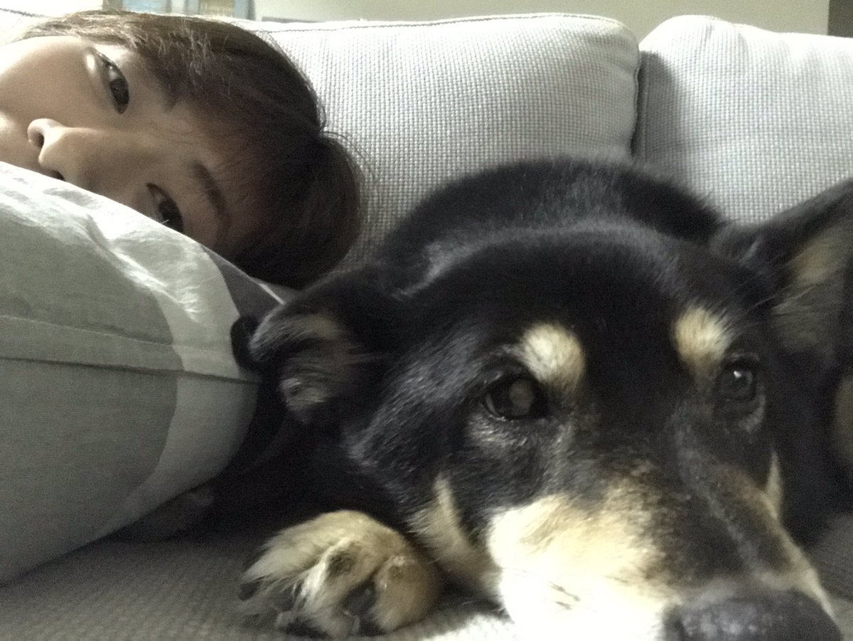 Riko0212's tweet photo. Piper 很不給面子欸
#我和piper 
#今天是國際狗狗日 https://t.co/mMj7YndMdZ
