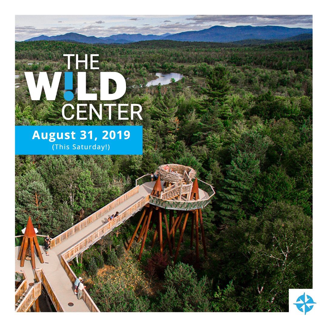 Envelop yourself in the larger than life Adirondack Mountains with devastatingly awesome views from elevated trails across treetops, guided canoe paddling, museums with movies, and interactions with the live animals of this benevolent habitat. tours.yankeetrails.com