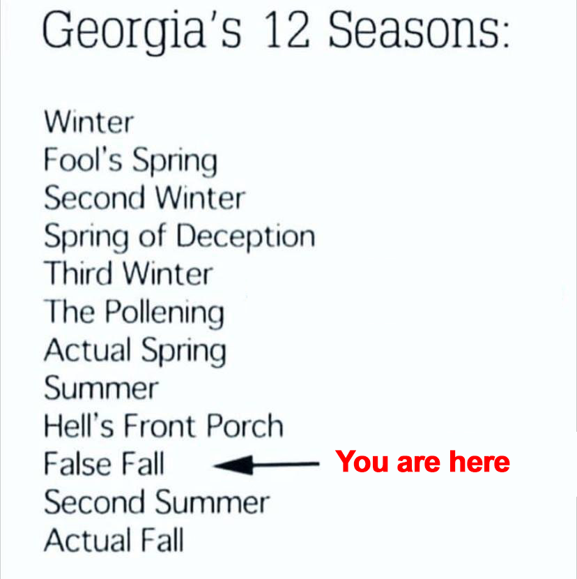 OnlyInTheA's tweet photo. False Fall came early this year. 

#AtlantaWeather 
#OnlyInTheA 
#Atlanta https://t.co/q0b3efEeZC