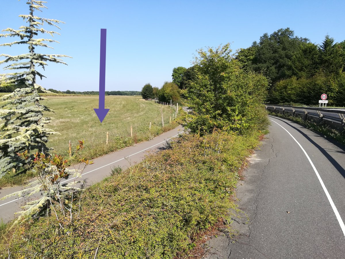 Maximilien VERDIER tweet media