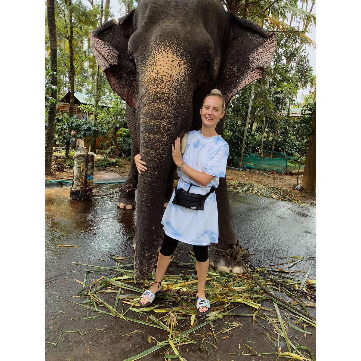 charcrilley96's tweet photo. best. day. everrr 🐘 https://t.co/ftqLuyCUKc