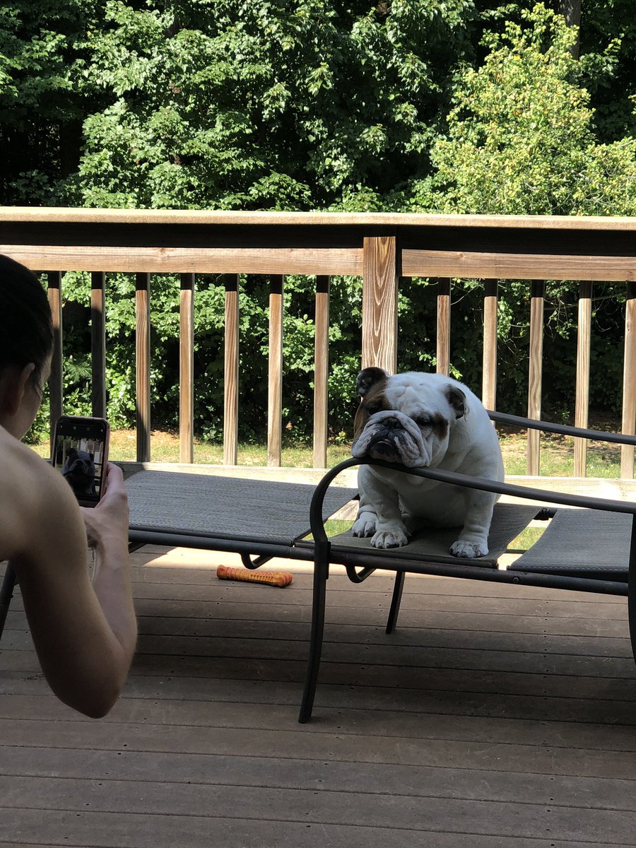 mariob33's tweet photo. #InternationalDogDay https://t.co/Zg7gBzm0No