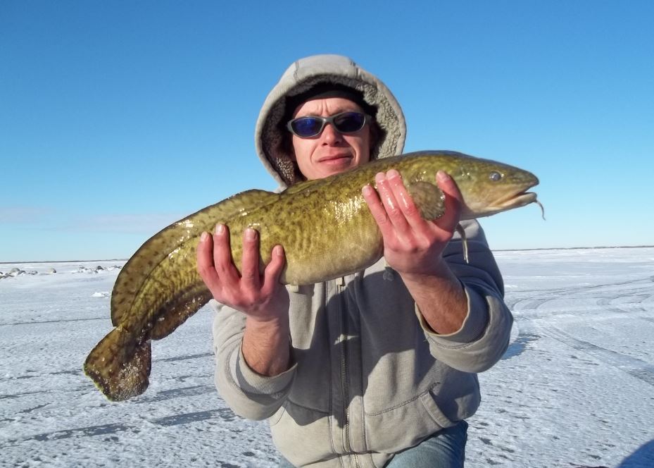 anglersatlas's tweet photo. Who's already thinking about the hardwater? :) (great 'ol shot from member FishinHeathen) #hardwater #fishing #burbot #icefishing #anglersatlas #mycatch https://t.co/uDdHZiBEeE