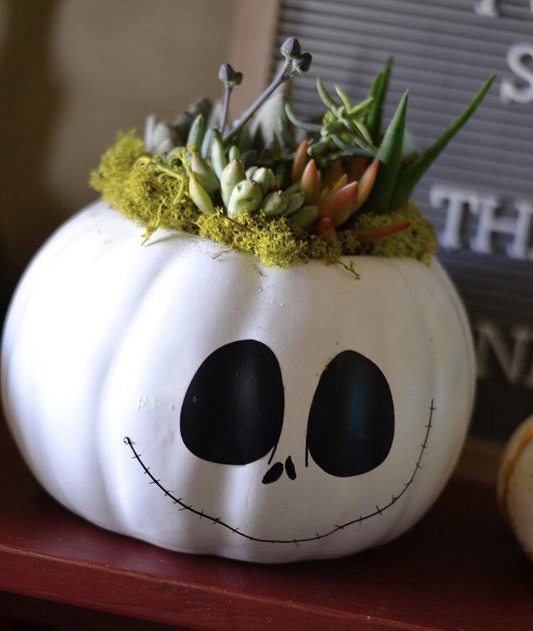 _DaniKalifornia's tweet photo. Who wants to smoke and get creative with me?? @koalapuffss @SilencedHippie I host #elevateandcreate workshops, you can make your very own Jack or Sally filled with fresh succulents you get to pick out and design. https://t.co/0aU1Jw4QfS