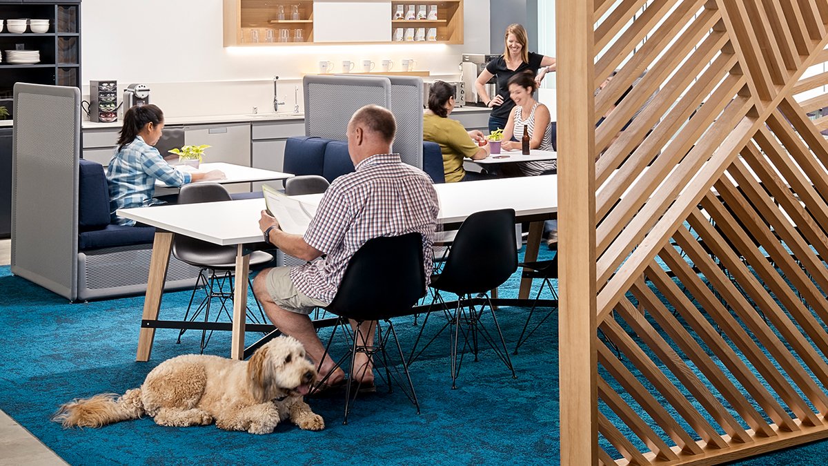 PMAGetsIt's tweet photo. In honor of #NationalDogDay, we honor the legendary dog "models" in the professional photos of our client's projects.  @hunterkerhart @slavzatoka #BruceDamonte https://t.co/jetDvQ6xjj