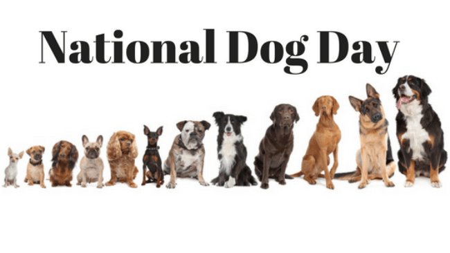 EastonAH's tweet photo. Today is National Dog Day! Celebrate your pup's with lots of cuddles and treats 💕
#NationalDogDay #InternationalDogDay #MondayMorning #MondayMotivaton #dogsoftwitter #DogAppreciationDay #dogs #dog #DogDay #dogtreats #Cuddles #Columbus #Ohio #614dogs #cbuspetlife https://t.co/qsVhTkojJ8