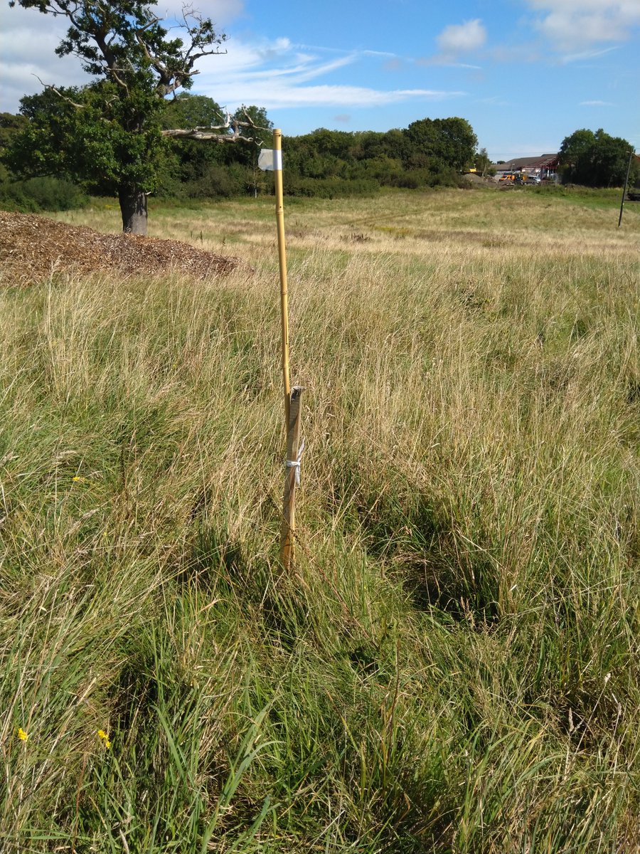 ACJ Lettings tweet media