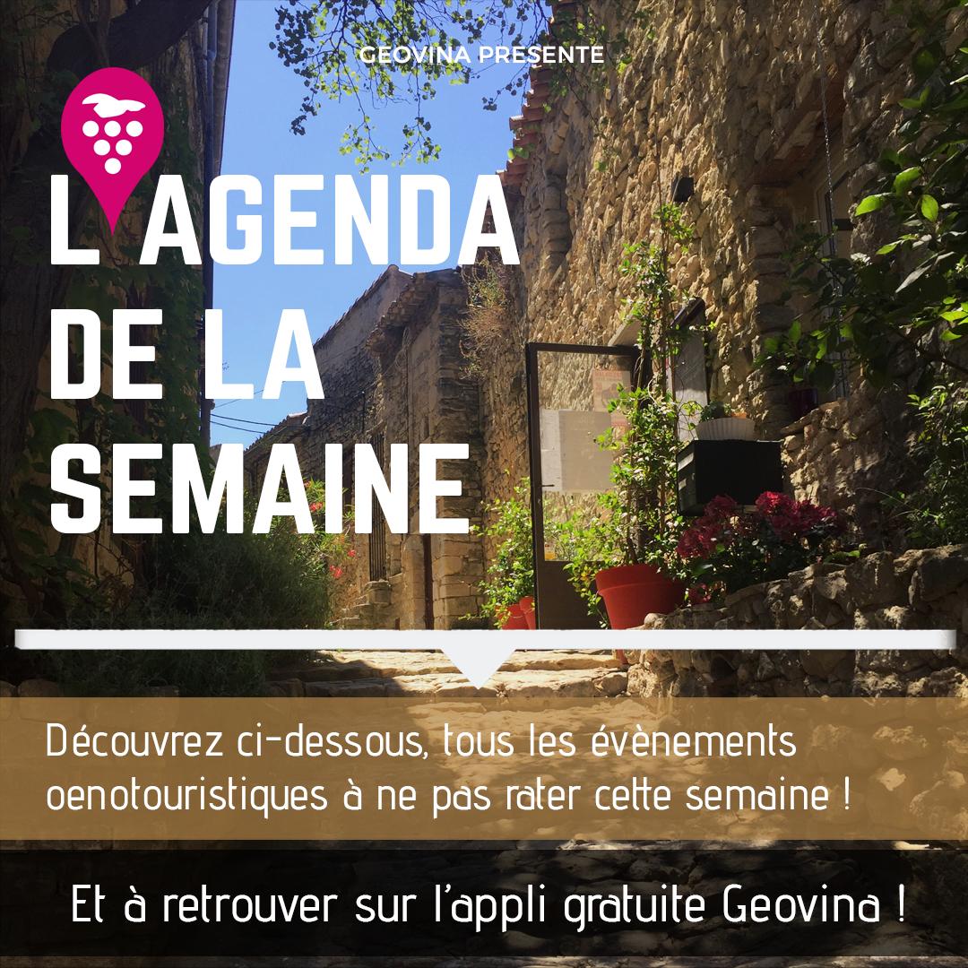 GeoVina tweet media