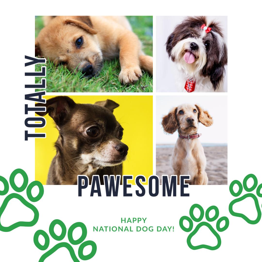 Follow_MyPets's tweet photo. It’s mans best friends special day!  Comment down below how you’re going to make it a special day for your 4 legged friend. 🐕 
#puppies #puppy #dogs #puppylove #cute #love #doglover #dogoftheday #pet #pup #doglovers #ilovemydog #animals #doglife #frenchbulldog #puppyoftheday https://t.co/5uegyBml20