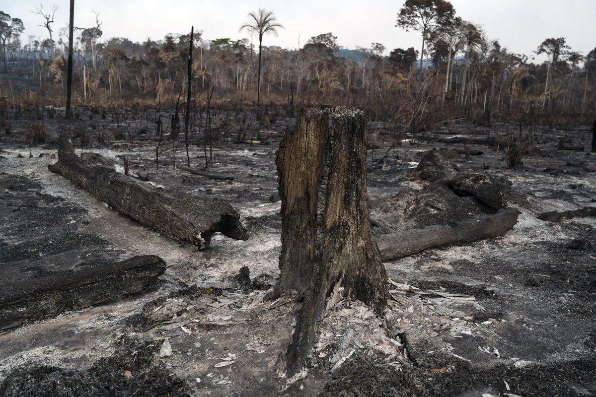 لماذا تثير حرائق الأمازون أزمة للبرازيل والعالم البيان