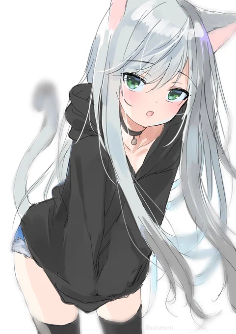 ✨ 