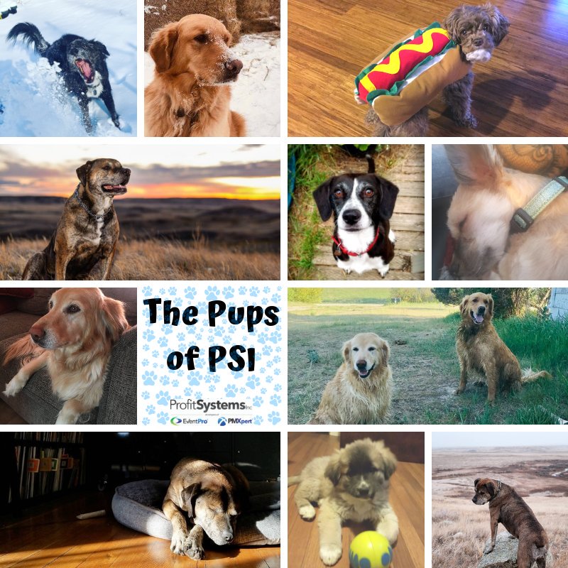 PMXpertCMMS's tweet photo. πΆ Happy National Dog Day πΆ
#nationaldogday #nationaldogdayπΆ #nationaldogday2019 #dogs #doglovers #welovedogs #dogsoftwitter #pmxpert #cmms https://t.co/4hXvynOoye