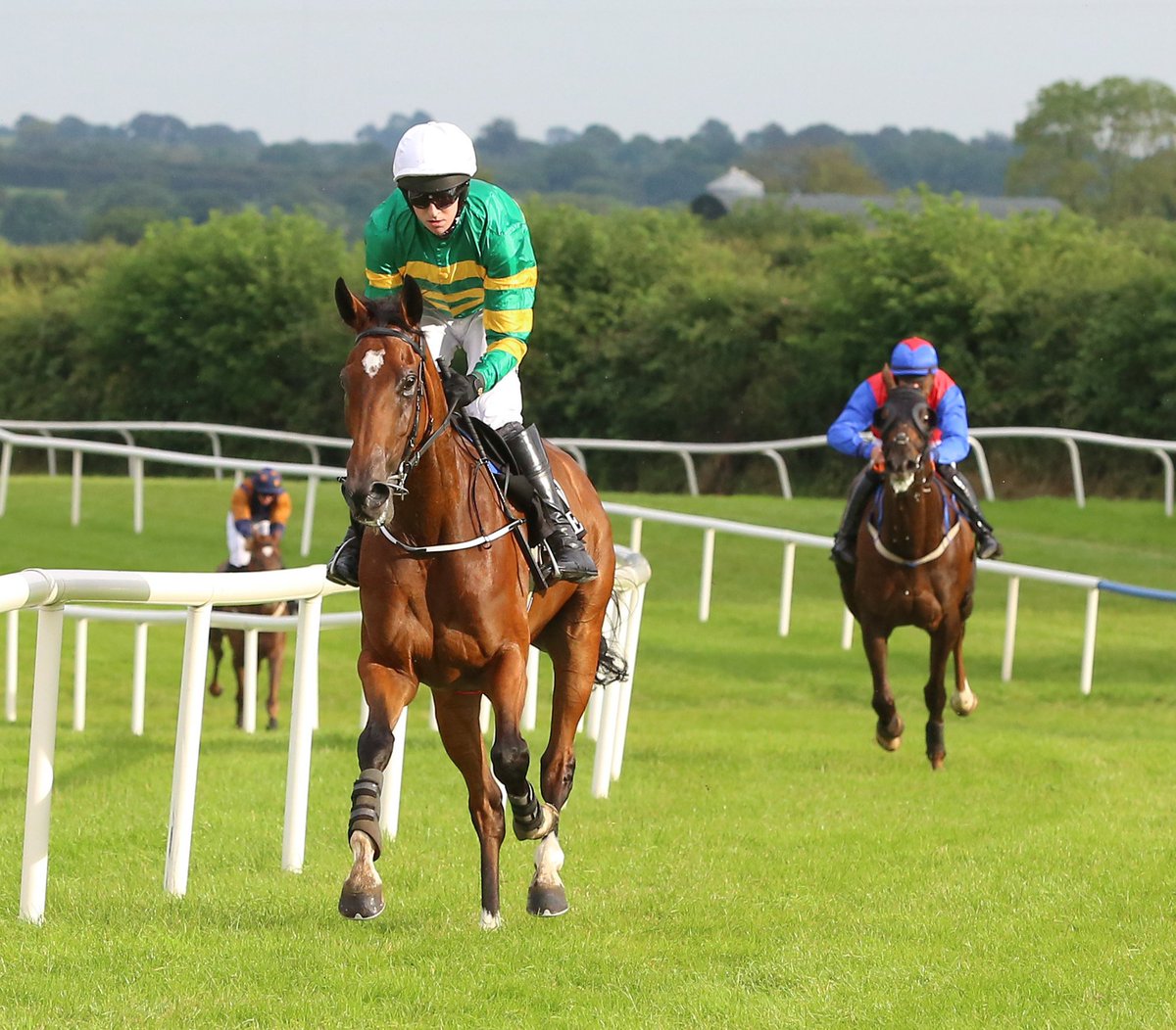 HRIRacing's tweet photo. A double on Thursday marked the comeback spectacularly but the kildare pilot is now a notable four for four, after Air Supremacy accounted for fellow JP McManus-owned gelding Spades Are Trumps in the Kerry Group Handicap Hurdle
#WeekendTakeaways 👇
https://t.co/3gzs3DyT6Q https://t.co/pASnOorgNt