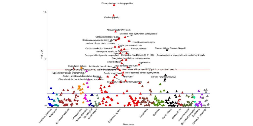 GIMJournal's tweet photo. Genome-first! Enhancing knowledge of rare genetic variants associated with #cardiomyopathy and #kidneydisease and improving diagnostic accuracy.  #CardioGen #genomefirst #CKD https://t.co/qVElbduf8I https://t.co/t8GGxkDIEn