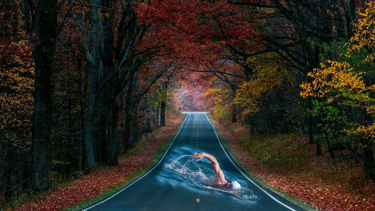 ayraphics's tweet photo. New trend swimming on road 😂🤣
.
.
#manipulation #manipulationeffect #photoshop #swimming #road #masking #blendingeffect #graphics #graphichdesigner #graphicsdesign #graphiccontent #creativeart #creativity #creative_hands #creative_mind https://t.co/i7BLgDr0gk