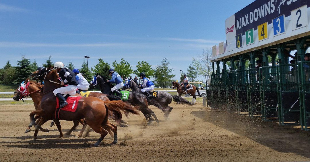 AjaxDowns's tweet photo. Quarter Horses can weigh as much as 1,200lbs. That's about as heavy as 3 large African lions! Watch them racing at high speeds - Join us this Sun, Sept. 1: Finals for Ontario Bred Maturity #ajaxdowns #picovdowns #ontarioracing #quarterhorse #horses #ajax #familyfun #durhamregion https://t.co/QcOHBPrGp0