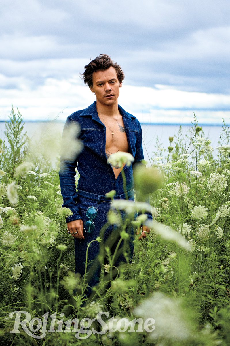 Harry Styles GTO tweet media
