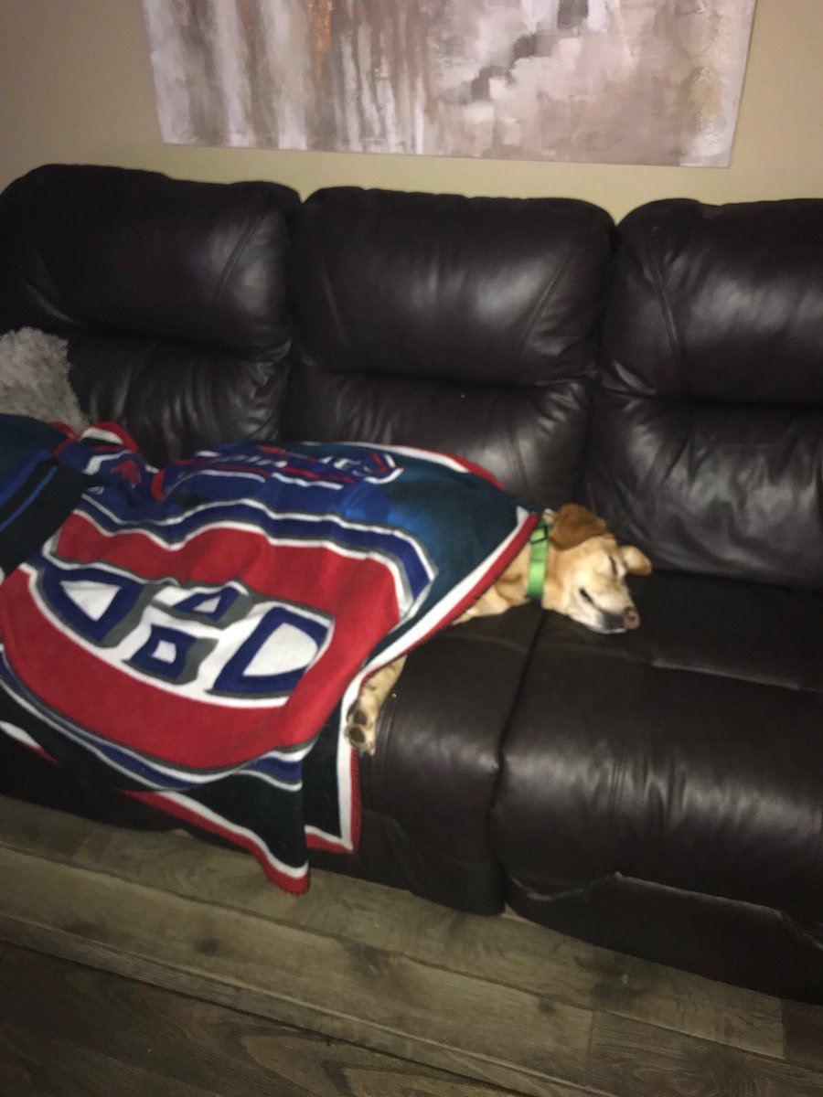 ⁦<a href="/CanadiensMTL/">Canadiens Montréal</a>⁩ wake us up when the season begins! #InternationalDogDay