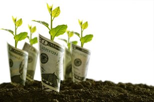 PhysiciansMoney's tweet photo. Looking to grow your practice's value? First, make sure your reputation is as strong as it can be. 

https://t.co/sOrVcNzjb7 https://t.co/gmF3vbB9kk