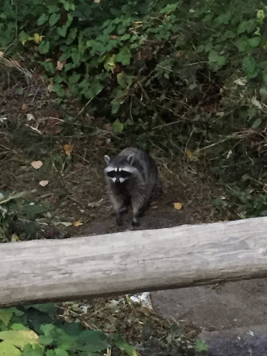 LeiTakeuchi tweet media