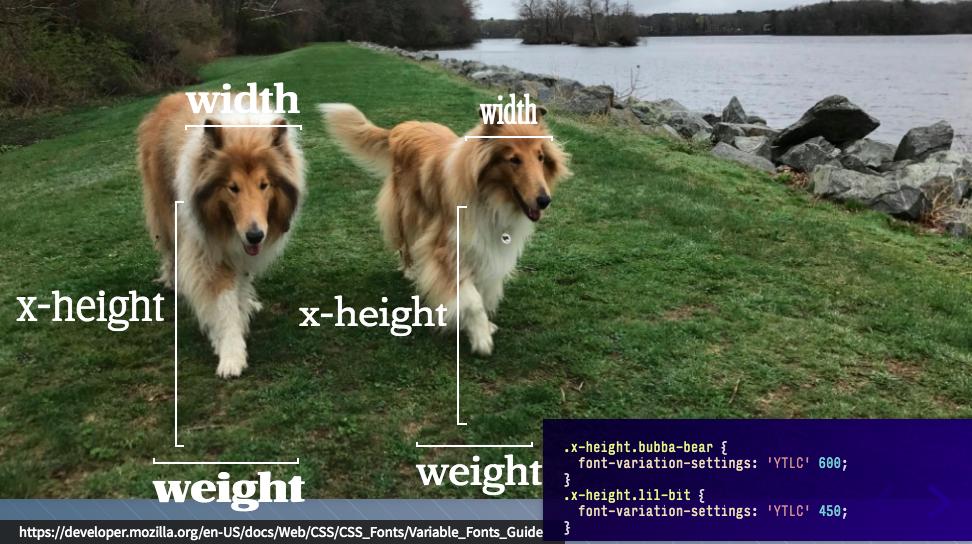 From this point on, I will only learn things if dogs are involved. @jpamental  #InternationalDogDay #aeachi