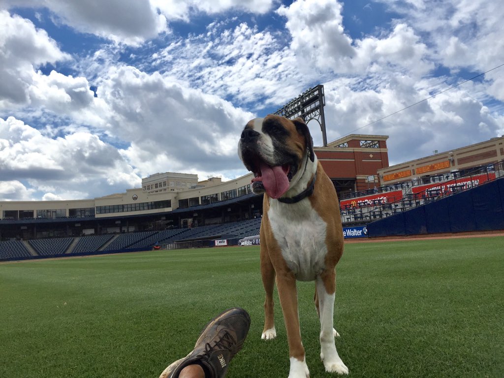 Duke Walsh tweet media