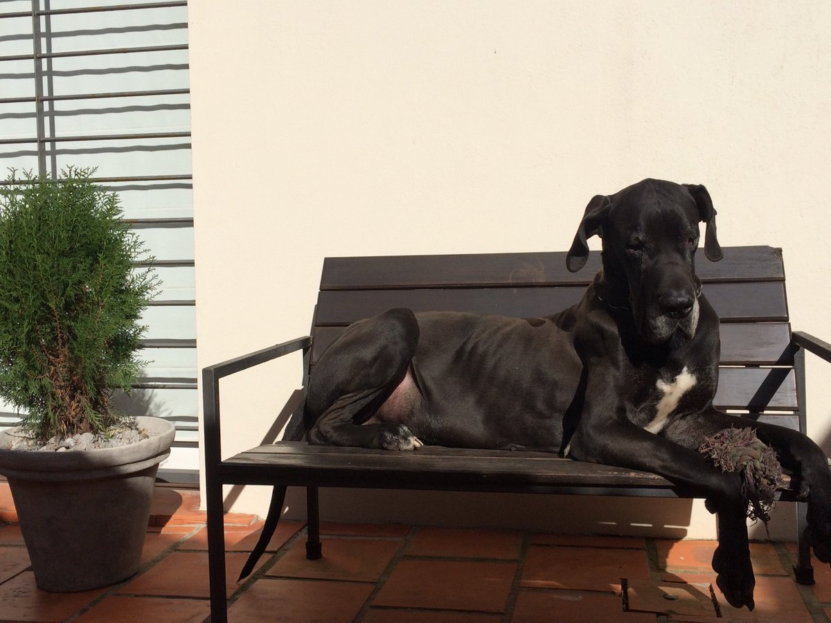 Josefina R. tweet media