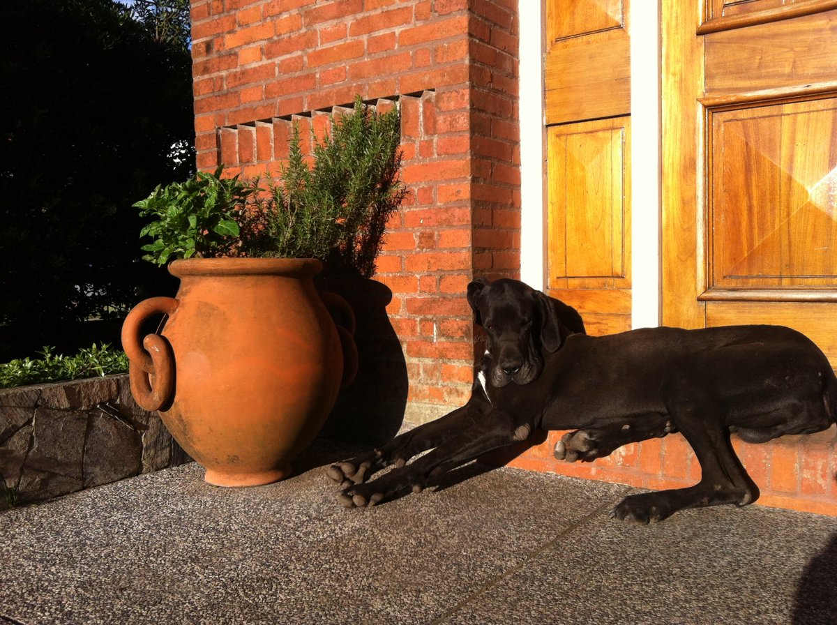 Josefina R. tweet media