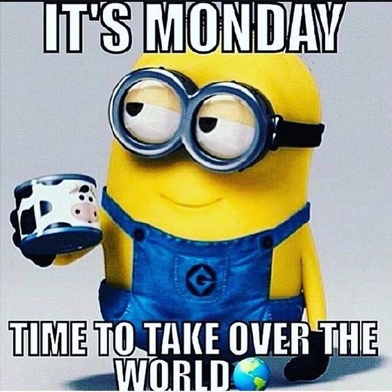 accuone's tweet photo. #HappyMonday https://t.co/kJPZ3DOabv