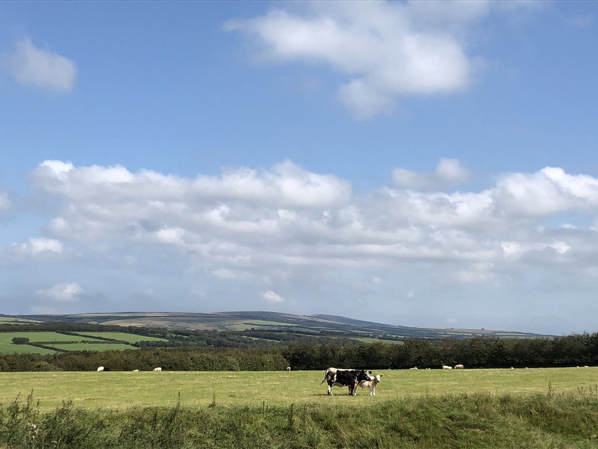 newlandfarm's tweet photo. #ViewToDunkery https://t.co/M5NwytNRtI