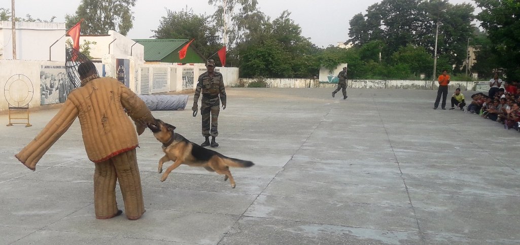 prodefencejammu's tweet photo. #NCC training camp @Nagrota(J&K), mil trg activities : Phy trg, Obst trg, Drill, Wpn trg, Fd craft, Battle craft, Tug of War & Firing org. selection of cadets for #ThalSenaCamp Delhi. Lec cum demo by Civ Def team, Jammu & #ArmyDogUnit from White Knight Corps https://t.co/O8uGc9xNIV