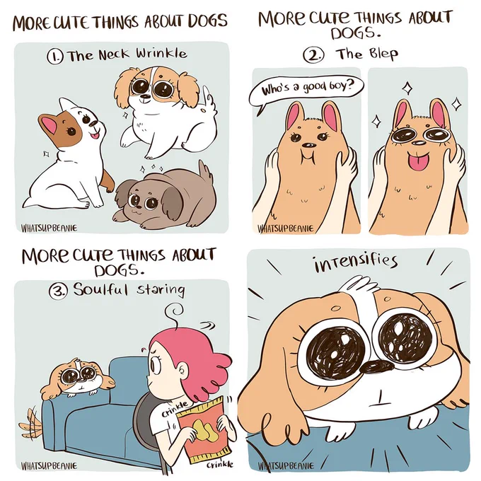 More cute things about dogs :> Do your pups do/have any of these? I love the lil wrinkles some have on their necks so much. Sooo cute. 