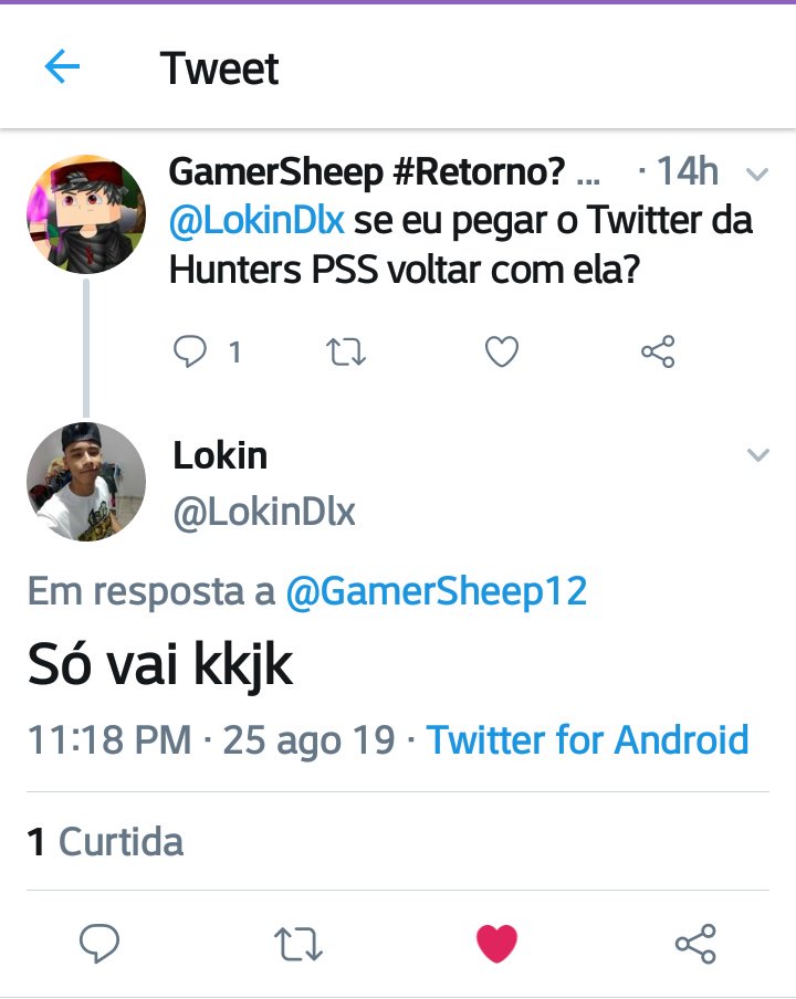 SkyHunters tweet media