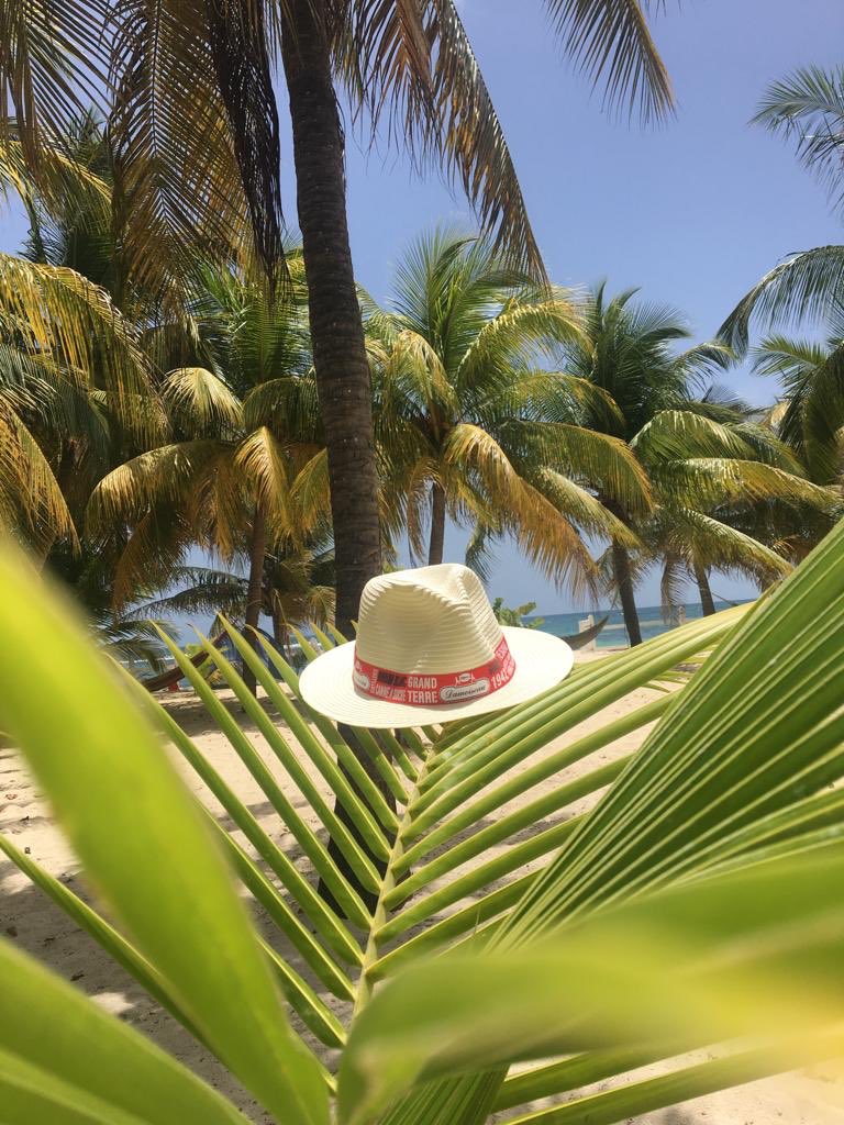 Rhum Damoiseau (@rhumdamoiseau) on Twitter photo 