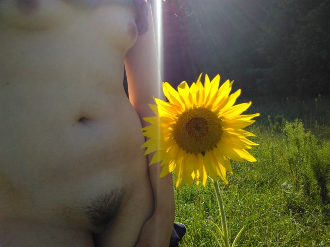 I met a pretty sunflower on my afternoon stroll. And walked topless on my favorite topless trail where<a href="/tag/mvsales"class="tags"><span>#mvsales</span></a>