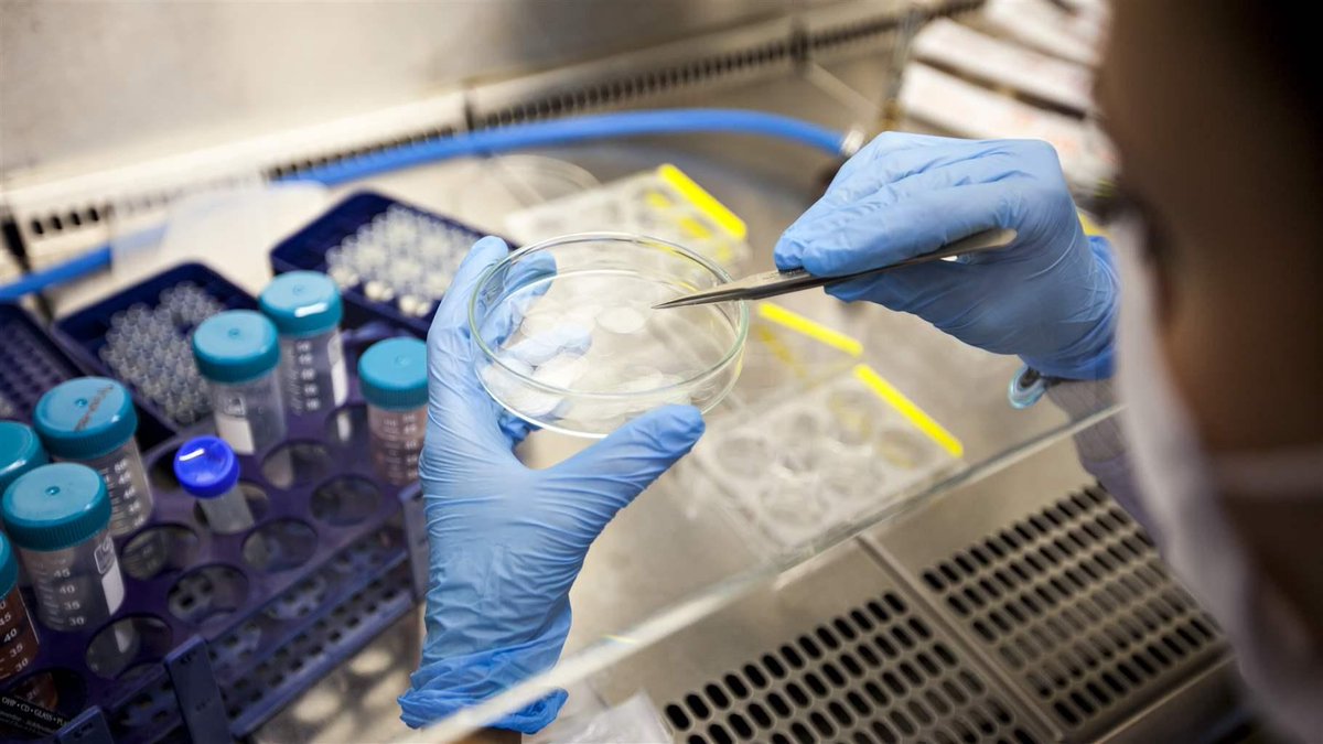 JeffWritingServ's tweet image. Autism, Parkinson's, cerebral palsy, and heart disease ... The #FDA and Congress are tough on claims. Avoid #WarningLetters by reading about how they have #stemcell industry buff.ly/2zkeHWV

#Autism #Parkinsons #CerebralPalsy #HeartDisease