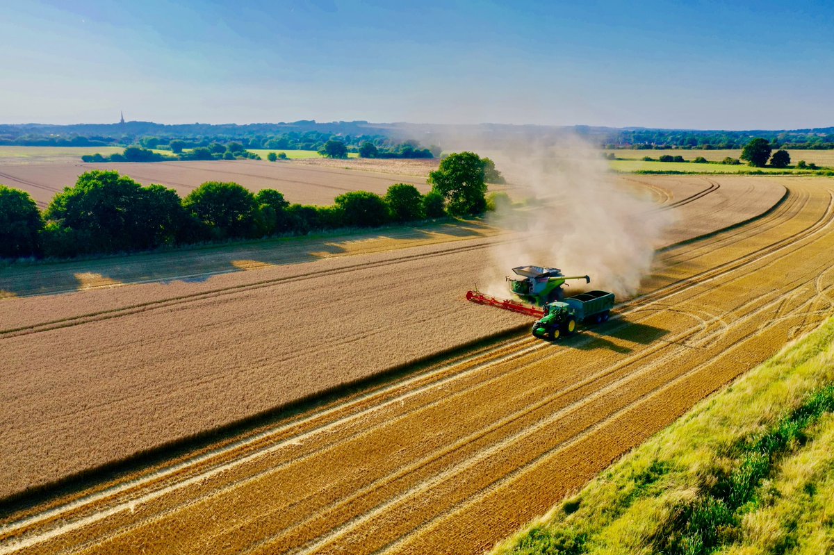 Richardesty's tweet photo. Harvest 2019 #livetweet
#livetweet #videostofollow #dusty https://t.co/0FjMDZq0NV