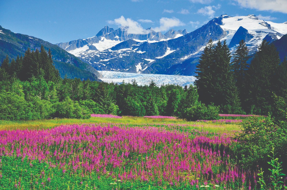 ClassicJrneys's tweet image. Most people we know that have visited #Alaska do so by cruise. But it's a shame to float past some of the most spectacular landscapes on earth, when you have the chance to explore them by foot! 🏔 View Alaska tours here: bit.ly/2MHlz9U