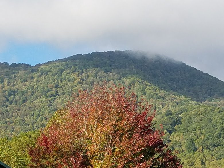 wnctimes's tweet photo. Fall Foilage Forecast 2019 Western North Carolina https://t.co/VVYuP2NedZ #WesternNorthCarolina #NorthCarolina #Fall2019 #autumn #Forecast #Travel @VisitNCsmokies @VisitNC @CityofAsheville @VisitFranklinNC @CantonCares @WaynesvilleWNC @LakeLure_NC https://t.co/fbcdSAEWdZ