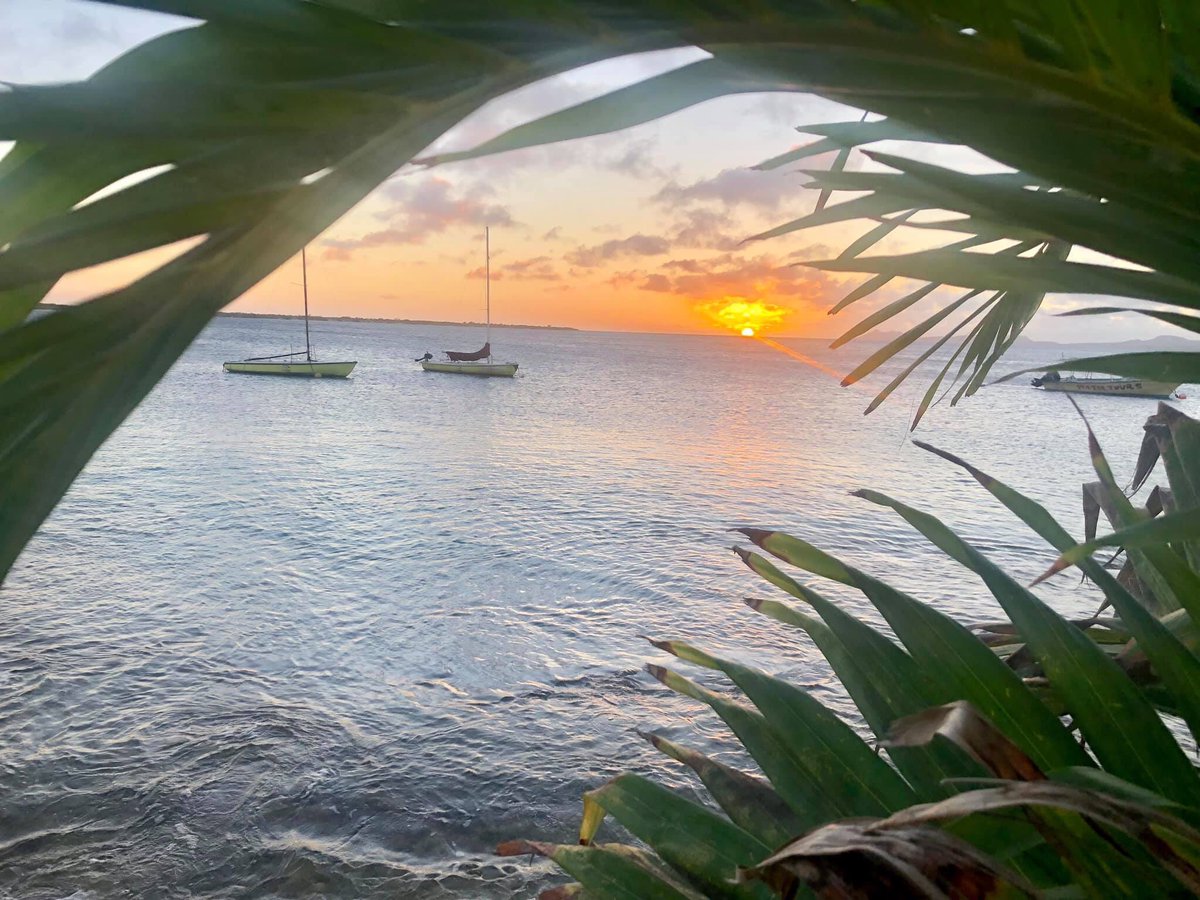 Today marks the start of #WorldWaterWeek. For #Bonaire water is essential, for our nature, culture and wellbeing. As first Blue Destination in the world, Bonaire takes important steps in becoming #sustainable and #resilient. #water #sids #SDGs #bluedestination