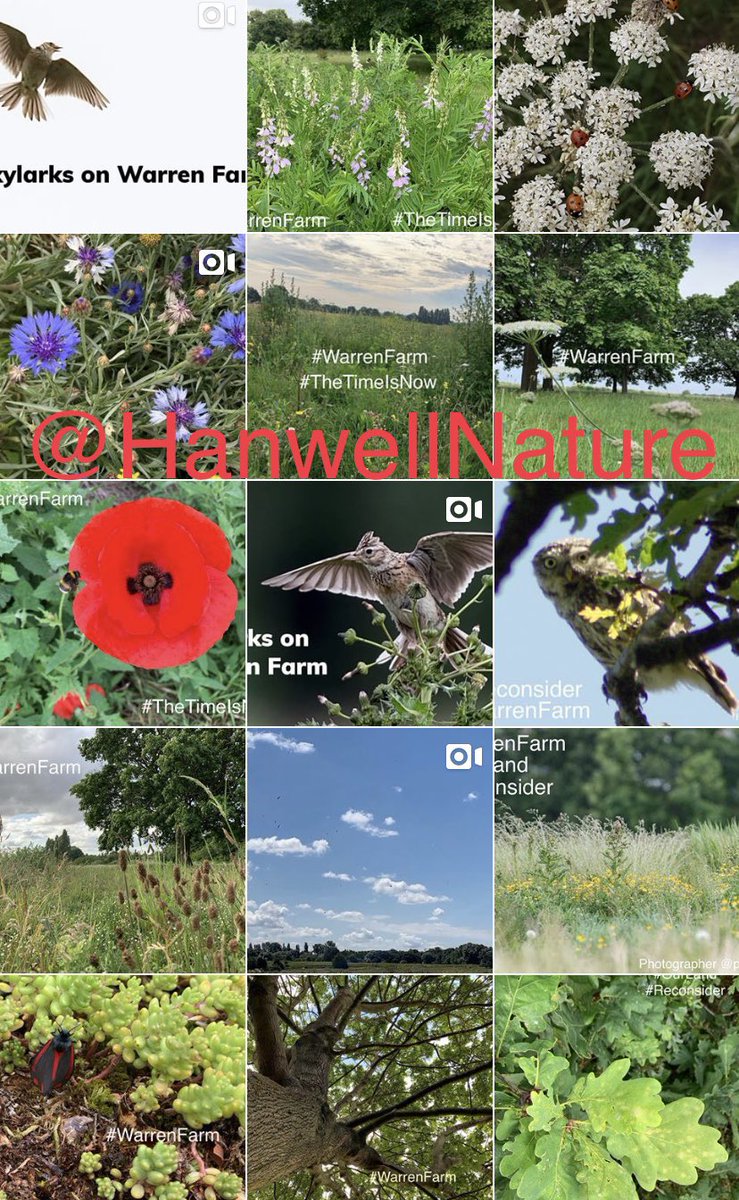 Just 1 away from 330 followers! Thank you everyone for the likes, retweets &amp; comments as we raise awareness for the need to protect #WarrenFarm from development. Your support means a lot to our team, of which we consider you all members! Do check out our photos on #instagram too!