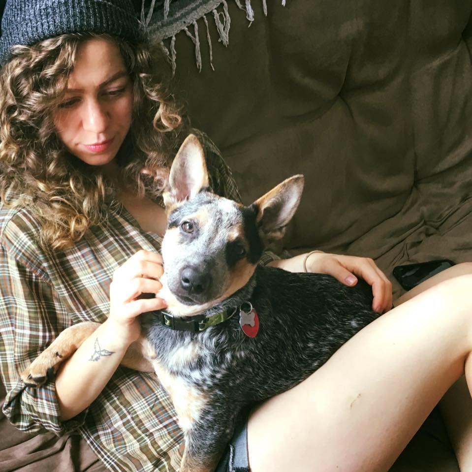 GhostLightTweet's tweet photo. Happy #NationalDogDay! 🐶🐾 We're celebrating by sharing some pics of our furry, four-legged friends! https://t.co/6ikSKedPhJ
