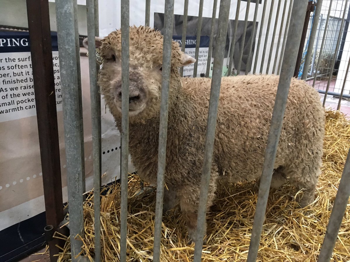 YOU BETTER BELIEVE I PATTED THAT