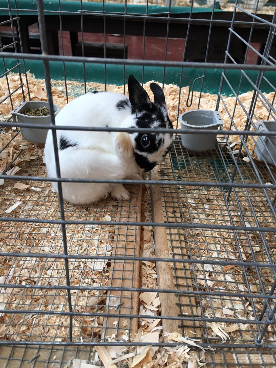 Got a high-back-five from that