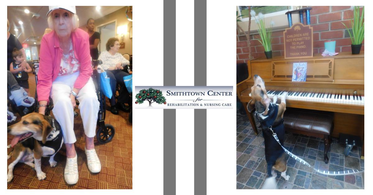 smithtowncenter's tweet image. Smithtown Center had a visit from internet YouTube sensation, Buddy Mercury, the piano playing, singing dog. After performing, he got a lot of love from residents, staff, and family members. Go online and check him out!! #YouTube #BuddyMercury