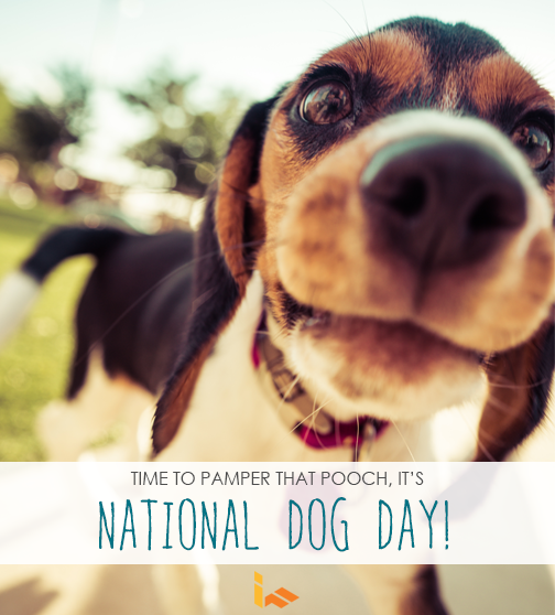 iFLOOR Team tweet media