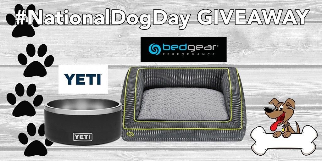 PCRichardandSon's tweet photo. #NationalDogDay #GIVEAWAY ALERT! 🐶❤️🐾 Your doggo will love this @YETICoolers bowl (https://t.co/RuMoYU1e6t) &amp; @BEDGEAR pet bed (https://t.co/A0ZlGqyeST)! To enter for a chance to win, just follow us &amp; retweet. Rules: https://t.co/XT0QFCVPYw https://t.co/VUuhO4QKGR