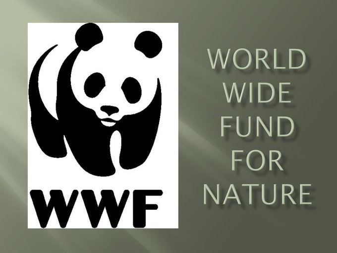 The world wildlife fund is. Всемирный фонд дикой природы WWF России. Всемирный фонд дикой природы лого. Символ WWF. WWF расшифровка.