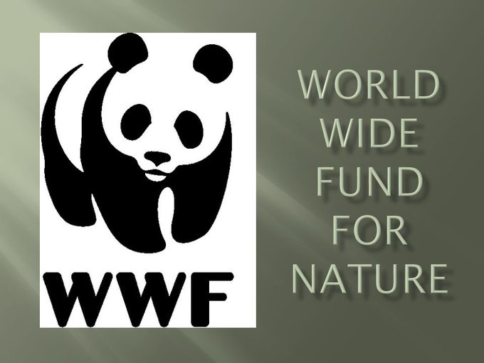 The world wildlife fund is